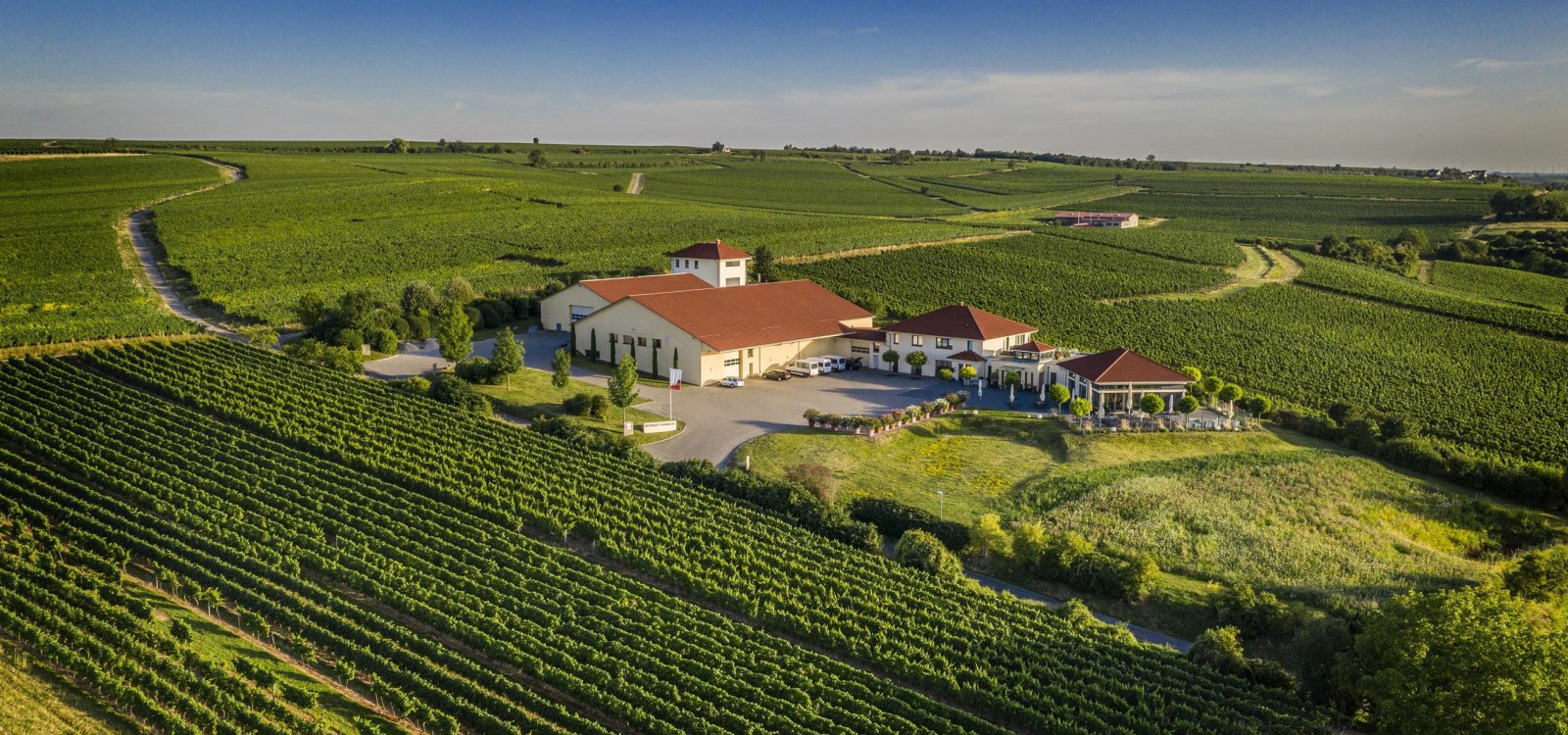 Weingut Raddeck Nierstein Weingut Raddeck Nierstein