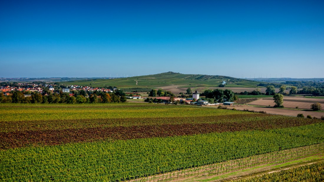 Biebelnheimer Pilgerstein, © Torsten Silz Biebelnheimer Pilgerstein, © Torsten Silz