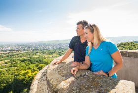 Blick vom Bismarckturm in ingelheim Blick vom Bismarckturm in ingelheim