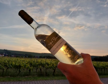 Weingut Otto Becker_bei Sonnenuntergang, © Weingut Otto Becker Weingut Otto Becker_bei Sonnenuntergang, © Weingut Otto Becker