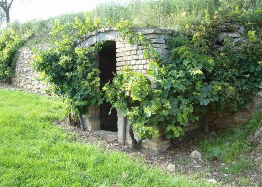 Peters Heisje 2 © Michael Jung Peters Heisje 2 © Michael Jung