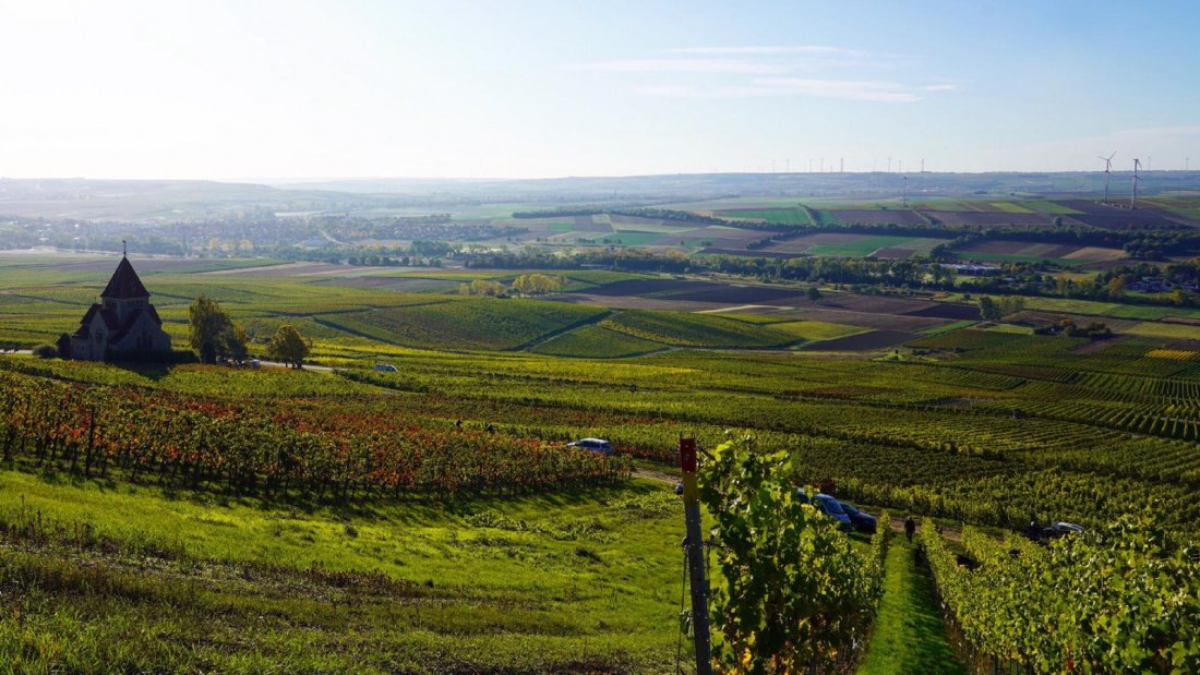 © Weingut Schnabel © Weingut Schnabel