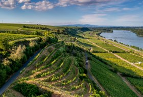 Niersteiner Hipping Niersteiner Hipping