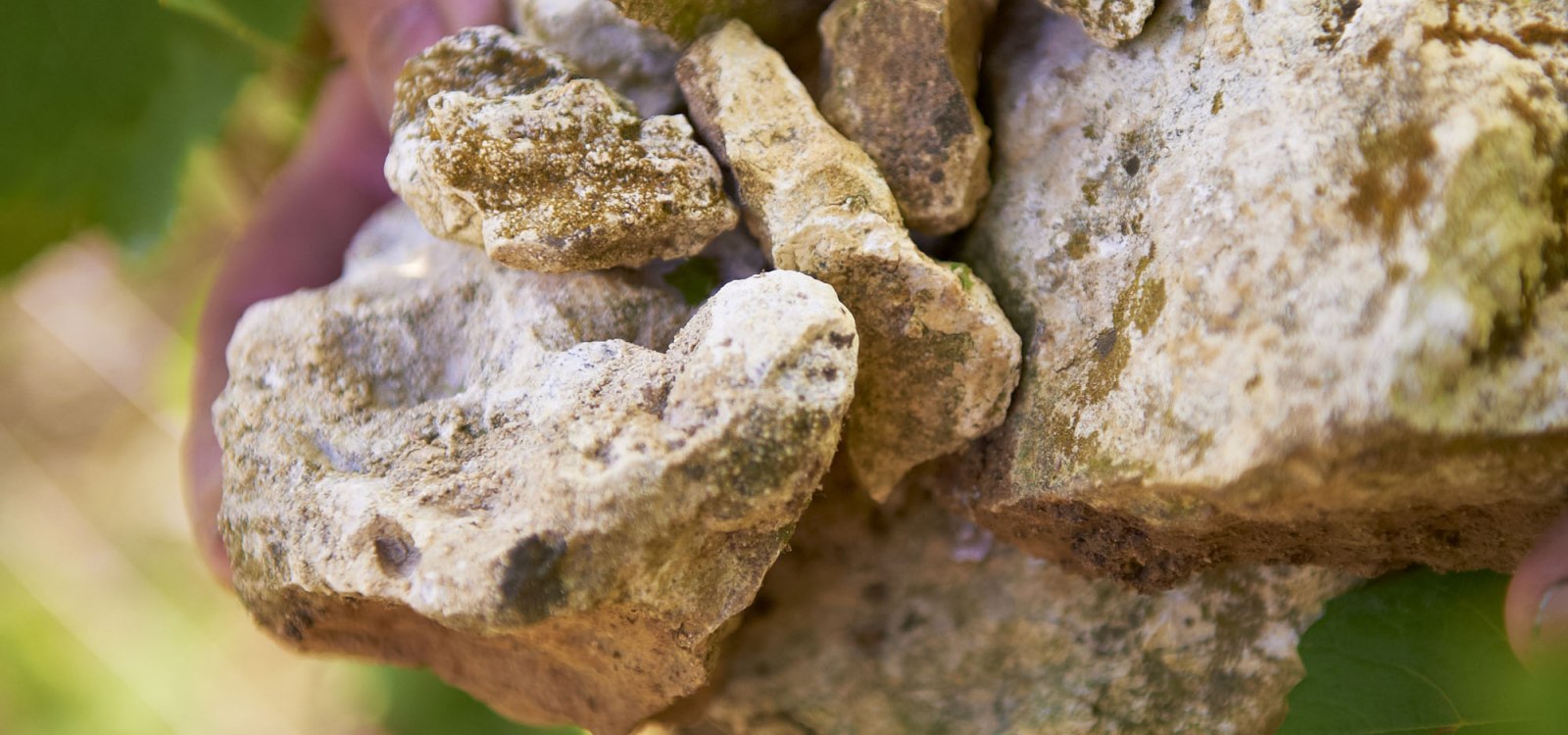 limestone limestone