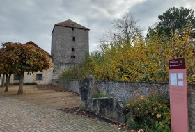 Effenkranz 1 © TI Alzey/Dehos Effenkranz 1 © TI Alzey/Dehos