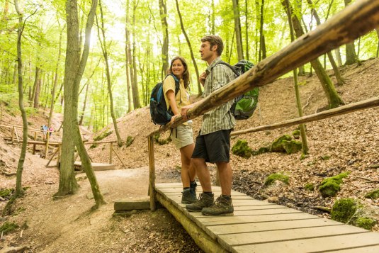 Wandern im Binger Wald, © Dominik Ketz Wandern im Binger Wald, © Dominik Ketz