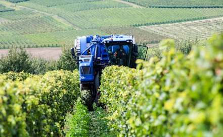 vollernter vollernter