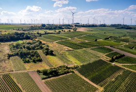 Dittelsheimer Geiersberg Dittelsheimer Geiersberg