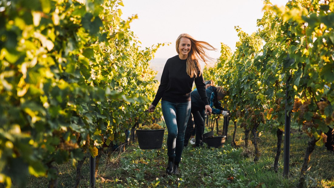 © Juwel Weine, Peter Bender © Juwel Weine, Peter Bender