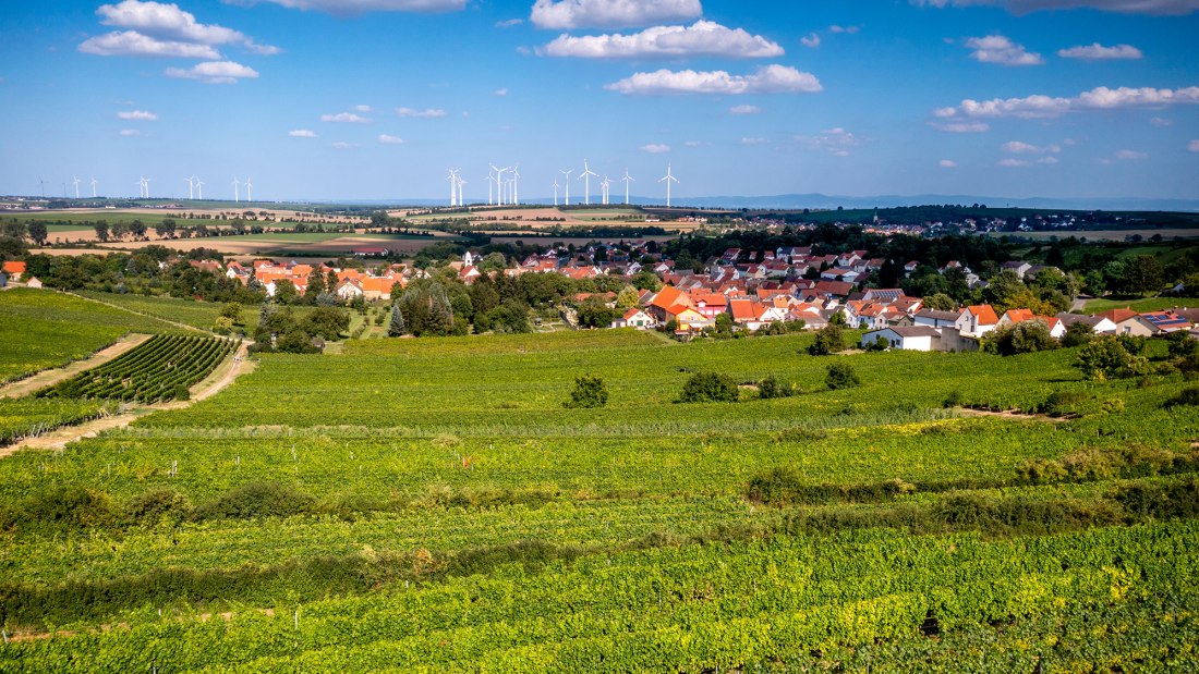 Dittelsheimer Geiersberg Dittelsheimer Geiersberg