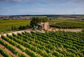Weinheimer Kapellenberg Weinheimer Kapellenberg
