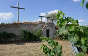 Galle Blick © Michael Jung Galle Blick © Michael Jung