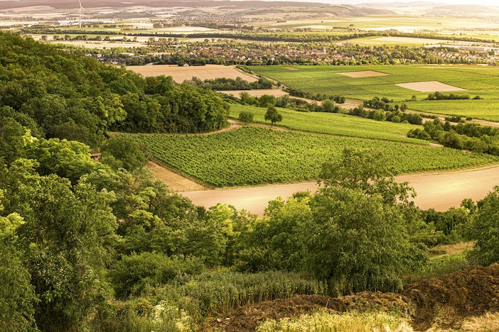 Weingut Schottenhof_Ausblick, © Weingut Schottenhof Weingut Schottenhof_Ausblick, © Weingut Schottenhof