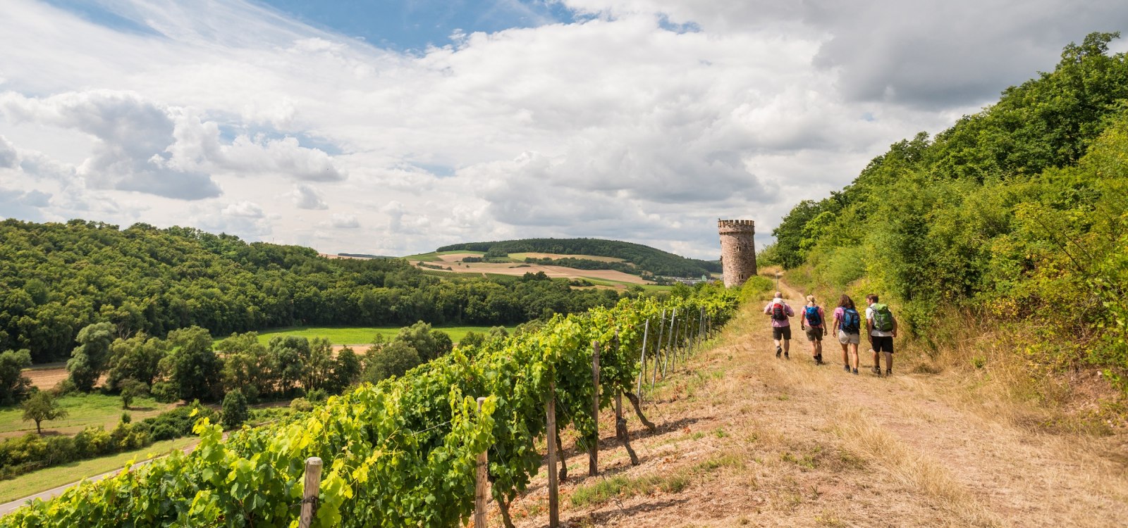 Auf dem Weg zum Ajaxturm | Hiwweltour Heideblick, © Dominik Ketz | Rheinhessen Touristik GmbH Auf dem Weg zum Ajaxturm | Hiwweltour Heideblick, © Dominik Ketz | Rheinhessen Touristik GmbH