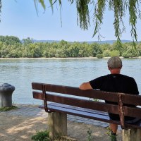 Rhine riverbank Heidenfahrt - View of Inselrhein Rhine riverbank Heidenfahrt - View of Inselrhein