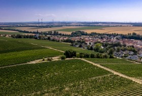 Gabsheimer Rosengarten Gabsheimer Rosengarten