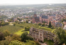 Oppenheim von oben Oppenheim von oben