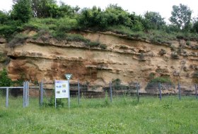 Naturdenkmal Weinheimer Trift Naturdenkmal Weinheimer Trift