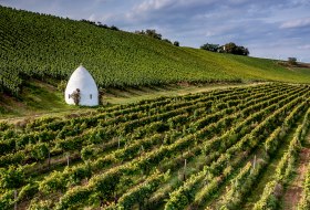 Weinlage La Roche © Torsten Silz Weinlage La Roche © Torsten Silz