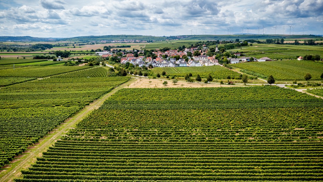 Hohen-Sülzener Kirchenstück Hohen-Sülzener Kirchenstück