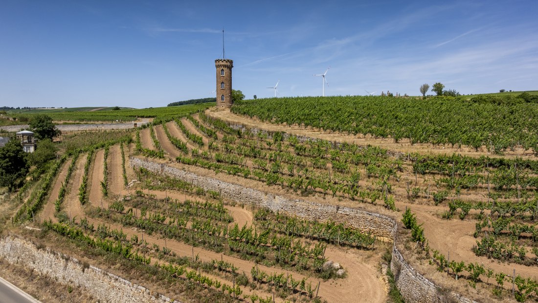 Weinheimer Heiliger Blutberg, © Torsten Silz Weinheimer Heiliger Blutberg, © Torsten Silz