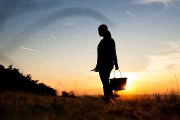 Weingut Schittler & Becker_Sonnenuntergang, © Weingut Schittler & Becker Weingut Schittler & Becker_Sonnenuntergang, © Weingut Schittler & Becker