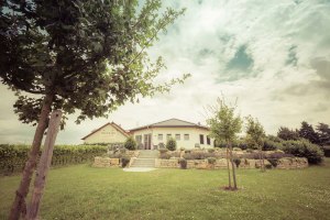 buitenkant vinotheek, © Weingut Hagemann buitenkant vinotheek, © Weingut Hagemann