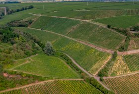 Niersteiner Brudersberg Niersteiner Brudersberg