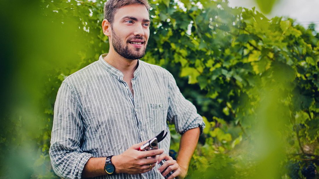 Weingut Gebert_Kellermeister Paul Krahl im Weinberg, © Weingut Gebert Weingut Gebert_Kellermeister Paul Krahl im Weinberg, © Weingut Gebert