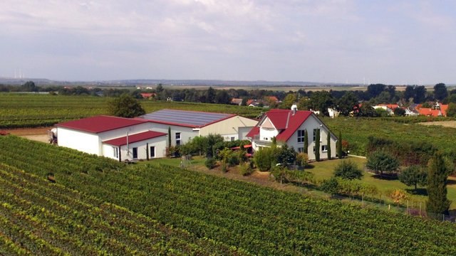 Weingut Kiefer_Weingut, © Weingut Kiefer Weingut Kiefer_Weingut, © Weingut Kiefer