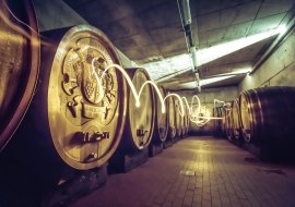 Kellerführung, © Weingut Hagemann GbR Kellerführung, © Weingut Hagemann GbR