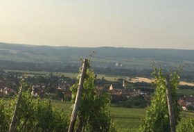 FamilienWeinGut Feser_Weinber, © FamilienWeinGut Feser FamilienWeinGut Feser_Weinber, © FamilienWeinGut Feser