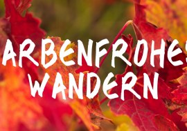 Farbenfrohes Wandern, © Tourist Info VG Sprendlingen-Gensingen Farbenfrohes Wandern, © Tourist Info VG Sprendlingen-Gensingen