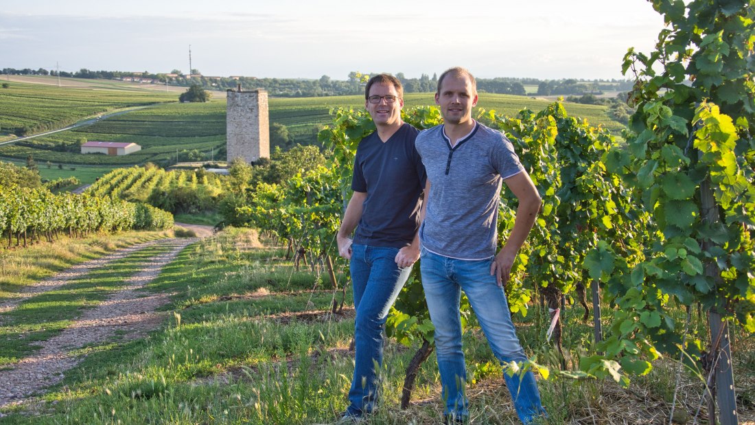 © Weingut Georg Gustav Huff © Weingut Georg Gustav Huff