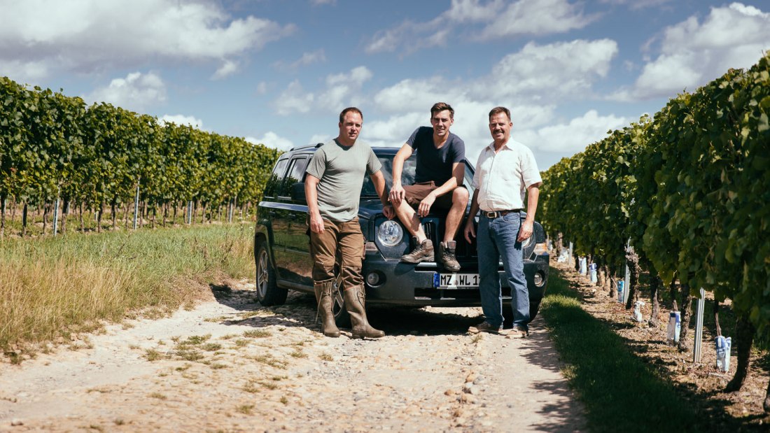 Weingut Listmann_Winzer, © Weingut Listmann Weingut Listmann_Winzer, © Weingut Listmann