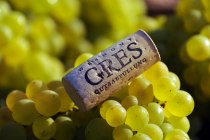 Weingut Gres_Kork, © Volker Oehl Weingut Gres_Kork, © Volker Oehl