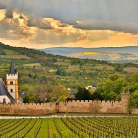 Wehrgang mit Blick auf die Burgkirche + Westerberg © Rainer Oppenheimer/Stadt Ingelheim Wehrgang mit Blick auf die Burgkirche + Westerberg © Rainer Oppenheimer/Stadt Ingelheim