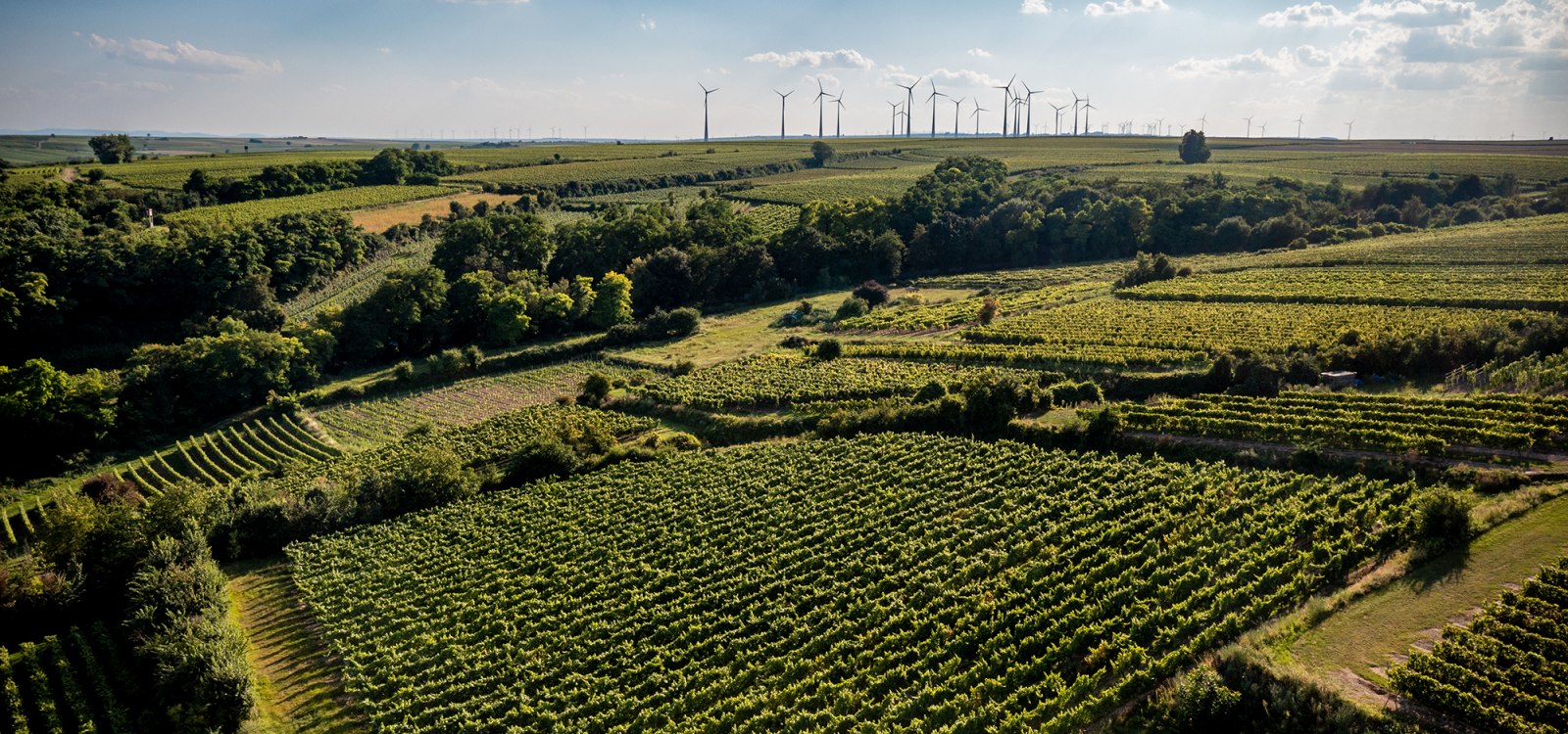 Alsheimer Frühmesse Alsheimer Frühmesse