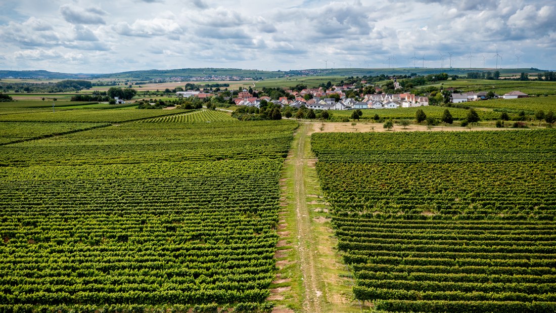 Hohen-Sülzener Kirchenstück Hohen-Sülzener Kirchenstück
