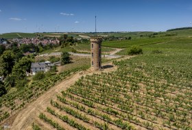Weinheimer Heiliger Blutberg-163 Kopie Weinheimer Heiliger Blutberg-163 Kopie