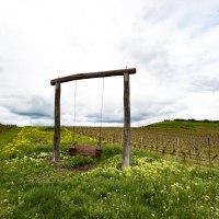 Wingertsschaukel Sprendlingen © Rheinhessen-Touristik GmbH, Katja Zentel Wingertsschaukel Sprendlingen © Rheinhessen-Touristik GmbH, Katja Zentel