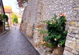 Kirchenmauer Eppelsheim Kirchenmauer Eppelsheim