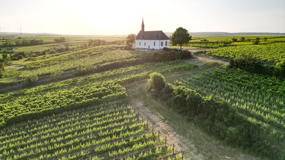 DJI_0602 DJI_0602