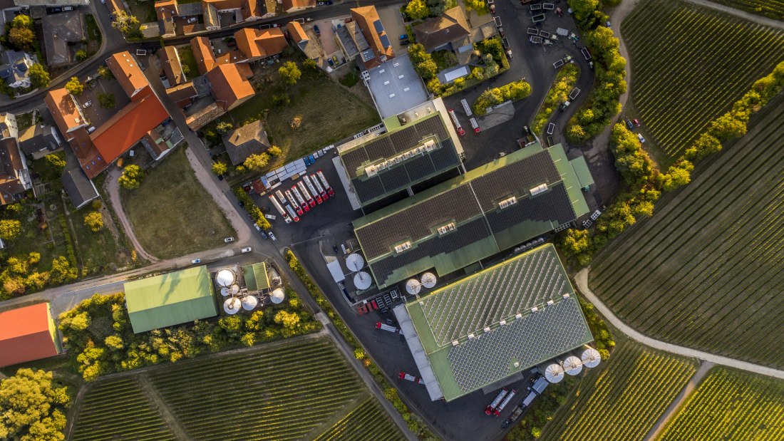 J. Trautwein feine Weine_Weingut, © Fotografie Torsten Silz J. Trautwein feine Weine_Weingut, © Fotografie Torsten Silz