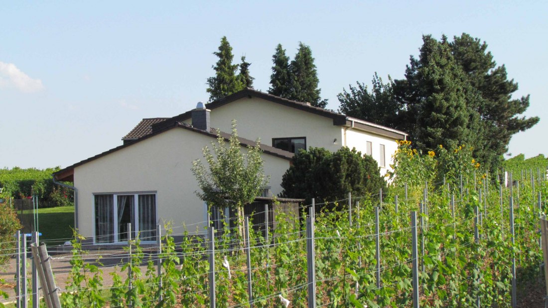 hammerstein-4, © Weingut Nibelungenhof hammerstein-4, © Weingut Nibelungenhof