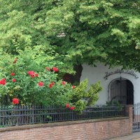 Weingut Hof Weingut Hof