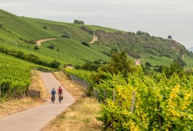 Fahrradfahrer auf dem Rheinradweg © Dominik Ketz Fahrradfahrer auf dem Rheinradweg © Dominik Ketz