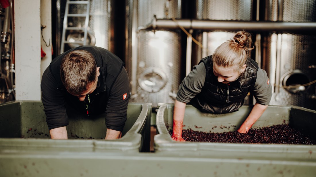 Weingut Bernhard_Winzer, © Ines Barwig Weingut Bernhard_Winzer, © Ines Barwig