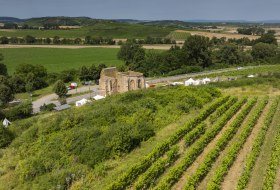 Eckelsheimer Eseltreiber © Torsten Silz Eckelsheimer Eseltreiber © Torsten Silz