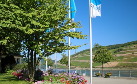 Das Rheinufer in Bingen ist Kulturufer Das Rheinufer in Bingen ist Kulturufer